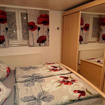 Ferienwohnung Im Erzgebirge ノイハウゼン エクステリア 写真