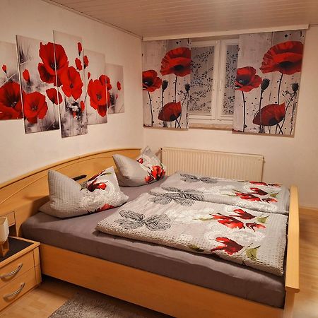 Ferienwohnung Im Erzgebirge ノイハウゼン エクステリア 写真